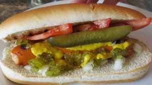 Chicago style hot-dog